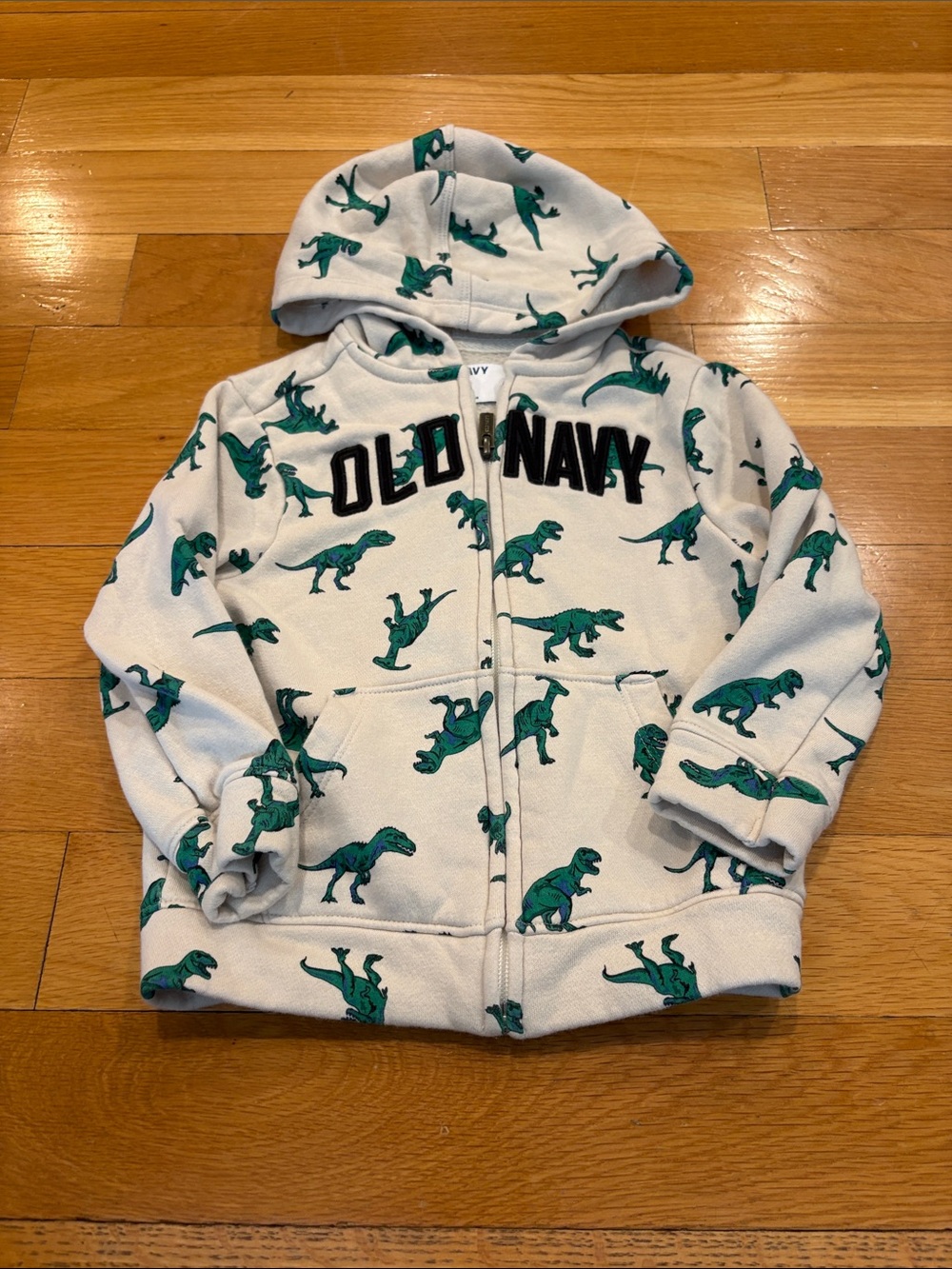 Old NavyHoodie with Green Dinosaur Print - Kids Zip Sweatshirt